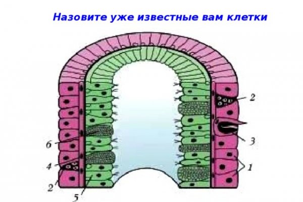 Почему не могу зайти на кракен