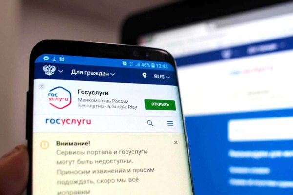 Кракен маркетплейс в питере