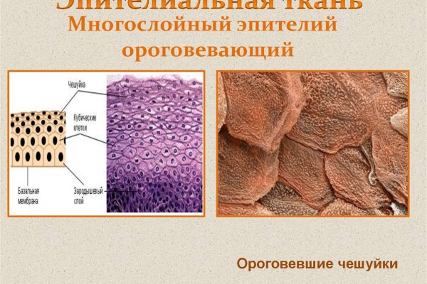 Кракен что можно купить